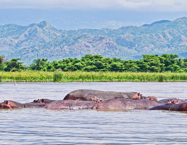 3 Days Arba Minch and Lake Chamo Tour | Lakes, Wildlife and Nech Sar National Park